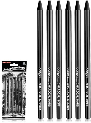JYSNOW 6 Piezas lapiz Carboncillo para Dibujo, Carboncillo de Dibujo y Bocetos, Suministros de Arte para Sombrear y Dibujar Profesionalmente, Para Exámenes de Arte, Texturas Suaves, Medias y Duras.