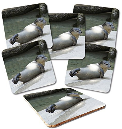 ADDIES Glas-Untersetzer 6-TLG.Set Bedruckt Motiv Seehunde ROBBEN-01 in hochwertiger Klarsicht-Geschenkbox und Korkrückseite, Tier-Motiv