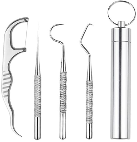 304 Stainless Steel Toothpick Set,Tooth Hook Reusable Dental Picks Portable Metal Toothpicks Holder for Outdoor Picnic Camping and Travel