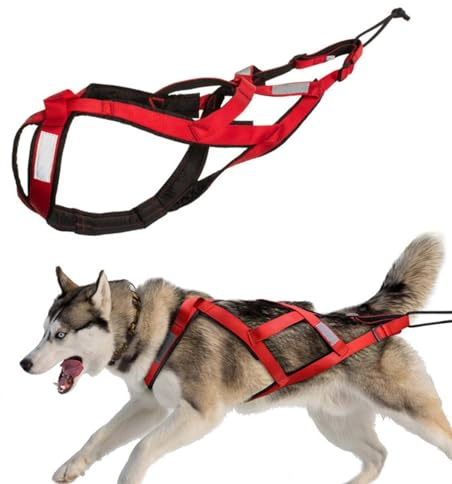 Harnais de Traction pour Chien avec Bandes réfléchissantese, Harnais de traîneau imperméable pour Chiens, Harnais de Traction pour Exercices de Chiens, Ski attelé et traîneau de (rouge, XXL)