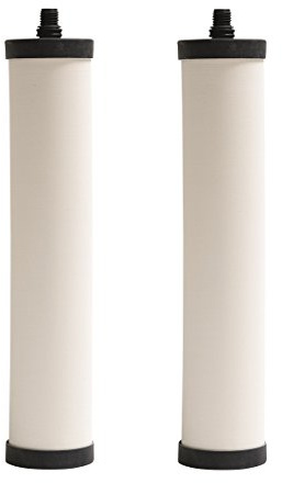 Franke FRC06-2PK Undersink Water Filtration Filter for FRCNSTR, Chlorine, 2-Pack