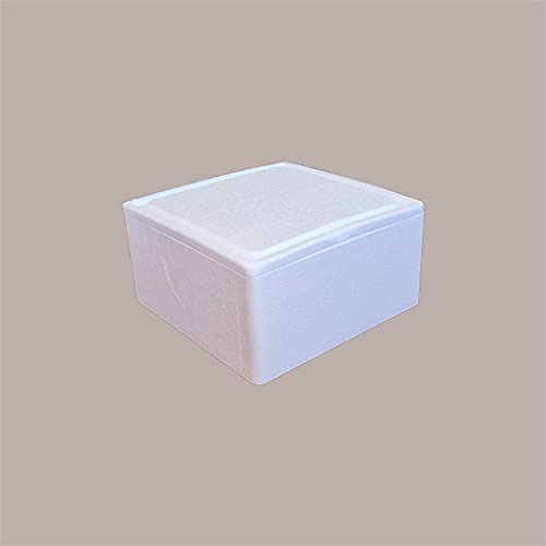 Lucgel Cassa Termica in Polistirolo Asporto Torte Gelato TORTAGEL 24x24H11cm -2 pezzi -