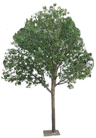 Künstlicher Olivenbaum, Pflegeleichte Seidenpflanze mit verstellbaren Zweigen for den Innen- und Außenbereich(2.5mx2m)