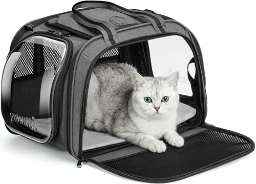 Pecute Trasportino per Gatti Borsa per Il Trasporto di Animali Domestici con Telaio in Acciaio Anti-deformazione da 5 mm, Tendina Avvolgibile per la Privacy, Finestra a Bolla, Taglia M, Grigio