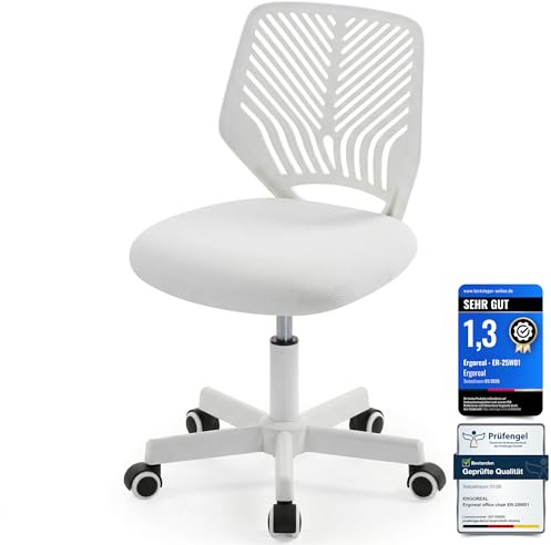 Ergoreal Ergonomischer Bürostuhl ohne Armlehne, Bürostuhl mit Rollen & Höhenverstellung, Bürostuhl Cozy mit Ergonomischer Rückenlehne,Homeoffice/Arbeitszimmer/Studienzimmer (grauweiß)