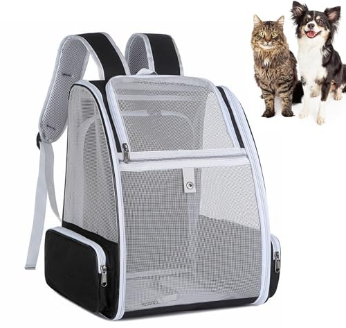Hunderucksack, Katzenrucksack, Haustier Rucksack mit Fenster und Innerer Sicherheitsleine, Rucksack für Kleine Hunde Katzen Welpen, Faltbar Haustier Umhängetasche für Wandern Reisen Camping im Freien