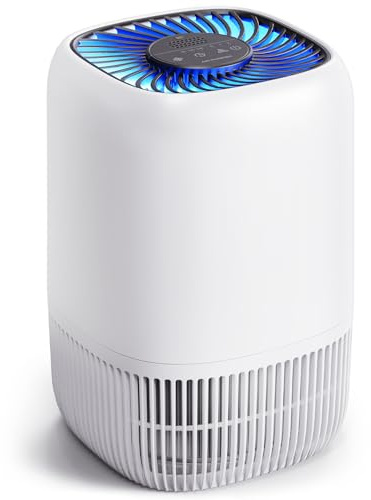 Hushållsluftrenare med H13 True HEPA-filter upp till 1076 kvadratmeter för husdjurshår, lukt, pollen, rök, kompakt luftrenare med 3 hastigheter, timer