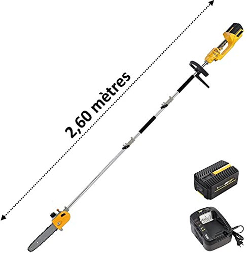 GT Elec Élagueuse sur Perche sans Fil à Batterie, 40 V, Batterie 4 Ah + Chargeur