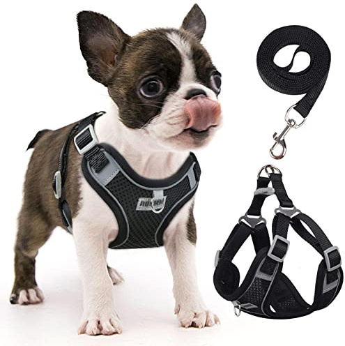 rennaio Hundegeschirr Kein Ziehen, Verstellbares Welpengeschirr mit 2 Leinenclips, Reflektierendes Hundegeschirr und Leine Set für kleine und mittelgroße Hunde (Schwarz, S)