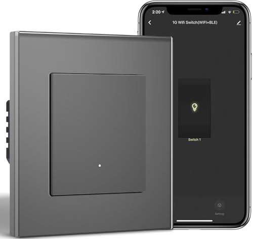 BSEEDLIFE WIFI Smart väggbrytare, 1 brytare, 1-vägs, 86 x 86 mm, WIFI-strömbrytare, kompatibel med Alexa och Google Home (Tuya/Smart Life-app), grå