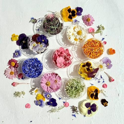 Edible Flowers - Freeze Dried 'Alex' Collection of Viola, Pansy, Daisy, Apple Blossom, Alyssum, Cornflower and Marigold - Certified Food Grade (569)
