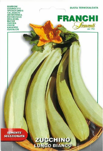 Franchi Courgette - Zucchino lungo bianco