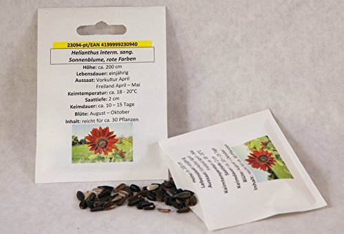 Sonnenblume rote Farben Riesensonnenblume in rot Saatgut für ca. 30 Pfl. großblumig Sonnenblumkerne