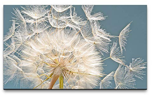 Bilder XXL Pusteblume Nahaufnahme 120x70cm Wandbild auf Leinwand
