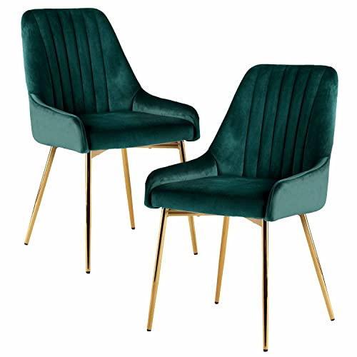 Sepnine Esszimmerstühle 2er Set, Essstuhl, Polsterstuhl mit goldenen Metallbeinen, Samt Küchenstuhl, komfortabler Esszimmermöbel, ergonomische Dining Chairs