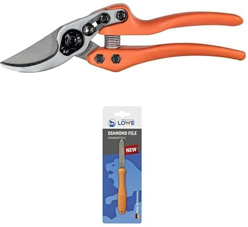Original LÖWE Set bestehend aus Bypass Schere 11.107 für präzise Schnitte an Blumen, Zweigen oder Obtsbäumen & Diamantfeile 0023 für Scheren, Äxte und Werkzeuge