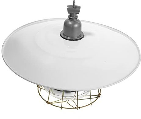 HANABASS Vieh Wärme Lampe Kit Pet Wärme Erhaltung Lampe Keramik Spitze Thermostat Zufällige Farbe