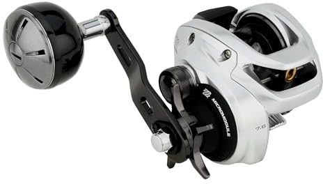Shimano TRANX 300 B Low Profile Angelrollen