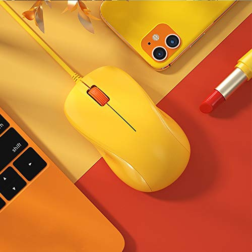 Souris d'ordinateur filaire USB avec clic ultra silencieux – Souris optique ergonomique 1200 DPI pour PC, ordinateur portable, bureau, maison, Mac et Chromebook