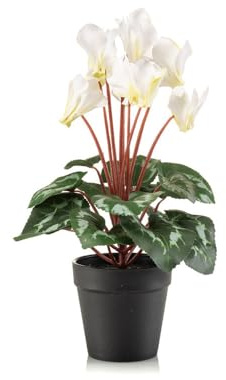 FloristryWarehouse Fleur de cyclamen hollandais artificielle en soie synthétique dans un pot de 30 cm de haut, blanc et vert