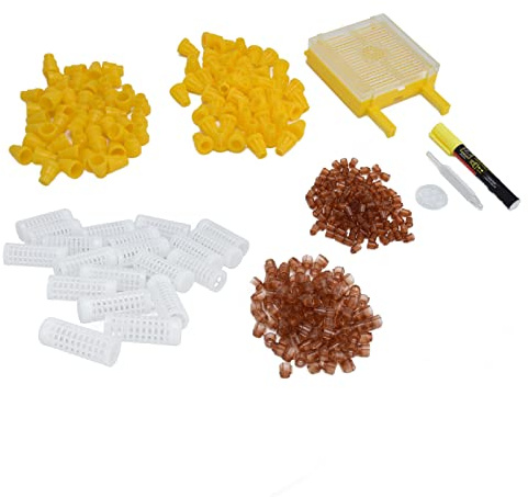 LjwZekyrnt Kit de injerto de cría de Abejas Herramienta de Marcado de Cultivo de Abejas de plástico Reutilizable para Apicultura Apicultura