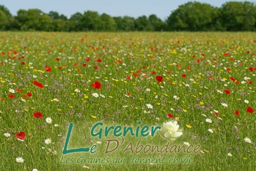 75 grammes à semer - Le Grenier d'Abondance - Gazon fleuri - Lolium perenne