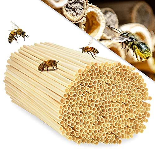 500 Tubi di Nidificazione con Diametro 3-5 mm per api Selvatiche, Cannucce 100% Natural per Hotel Insetto, Rifugi per Insetti, Casetta per Insetti, hotel di insetti selvatici (14,5 cm)