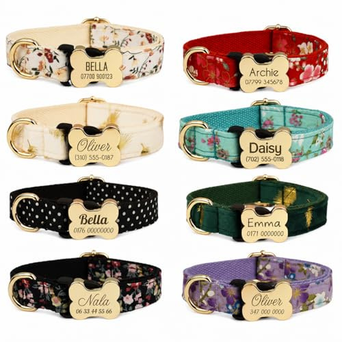 Kiyanest Personalisiertes Hundehalsband mit graviertem Knochenverschluss, verstellbares bedrucktes Haustierhalsband mit Name und Telefonnummer, Halsband oder Set wählbar