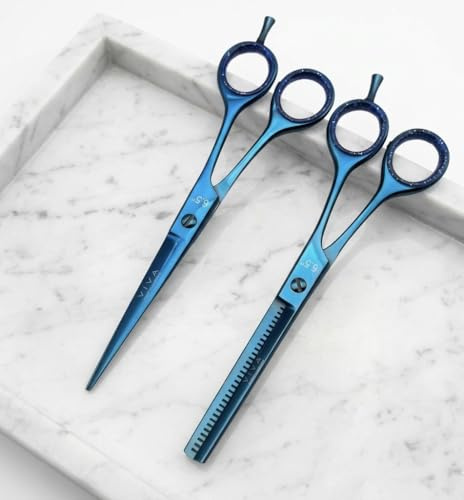 Professional 6.5 Inch Hair Scissors & Thinning Shears Texturing Set Premium Stainless Steel for Precision Cutting Sharp Blades for Effortless Styling Salon Quality Cuts Hairdressing Tools (Blue)