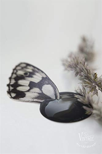 Vintage Paint Kreidefarbe 700ml Chalkpaint Kalkfarbe ECO LABEL Umweltfreundlich Wasserlöslich Deckend für Kindermöbel, Kreidelacke Möbel, Möbelfarbe Shabby Chic Lack (Black Velvet)