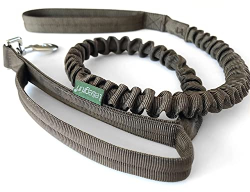 Leisegrün Elastische Hundeleine | Führleine für Hunde aus Nylon mit Kurzführer & Ruckdämpfer | Länge 130 cm bis 200 cm | Braun