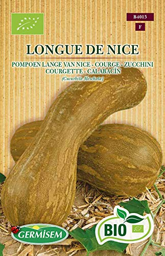 Germisem Biologico Longue de Nice Semi di Zucchine 4 g