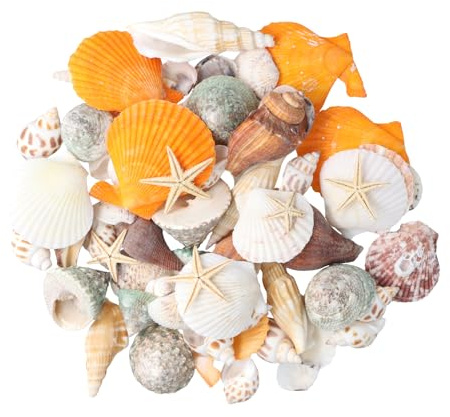 Anseom Conchas, conchas decorativas de estrellas de mar, conchas de mar mixtas, conchas marinas para jarrón, relleno, playa, fiesta temática, hogar, boda, decoración, manualidades, red de pesca,