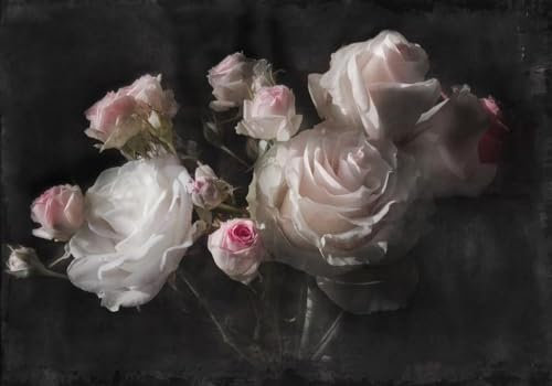 Fototapete Blumen 3D Tapeten 3D Effekt Wohnzimmer Schlafzimmer Vliestapete Nostalgische Weiße Rosenblüte Im Vintage-Stil Natur Grau Graffiti Steinoptik Kinder Tapeten