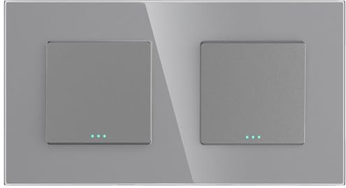 PULSAR Unterputz Lichtschalter 2-Fach Grau Glas, Doppel Schalter mit Glasrahmen 10A 250V, Doppellichtschalter Wandschalter