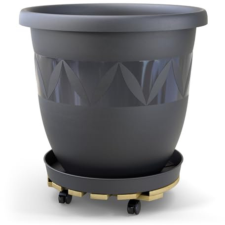 Plastard Pflanzroller mit Capri Blumentopf Ø 40 cm mit Untersetzer Anthrazit, Witterungsbeständig, Kunststoff-Pflanzkübel für Innen & Außen, Rollen mit Feststellfunktion