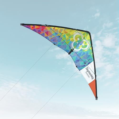Skymonkey Fastrider Lenkdrachen Kinder, Jugendliche und Erwachsene, 2-Leiner Lenkdrache, Spannweite: 127cm - Rainbow
