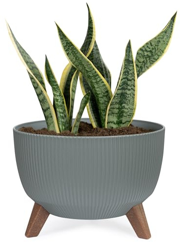 KONZEPT Pflanzenschale mit Füßen 33 cm Blumentopf Kunststoff Graugrün, Pflanzkübel Groß Außen, UV-Beständig, Wetterfest, Mit Wasserablauf, Perfekt für Solarbrunnen & Miniteich