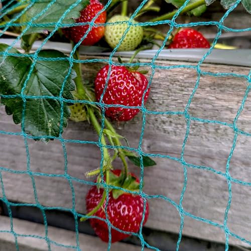 Elixir Gardens Anti Bird Netting 2m 4m 6m 8m 10m Fruit Pond Garden Bird Flu Protection | Garden, Vegetable, Pigeon, Seagull, Crop Pest deterrent | Green | 8m x 5m