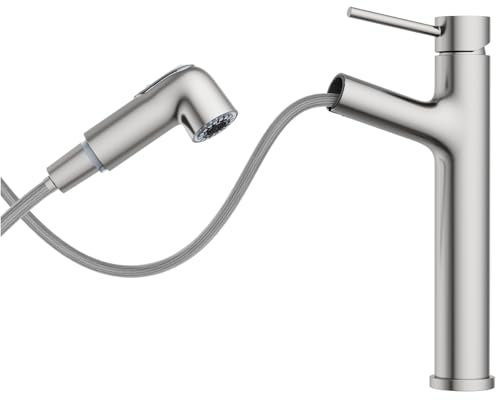 HURRAN Rubinetto Bagno Lavabo, Miscelatore Alto per Lavabo, Miscelatore Estraibile con 2 Modalità di Erogazione, Rubinetto Bagno Monocomando in Acciaio Inox, Nichel Spazzolato