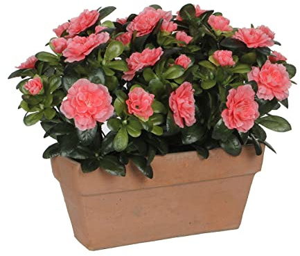 MICA Decorations Azalea Jardinière de Balcon en Ardoise 29 x 13 x 27 cm
