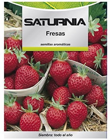 Semillas Huerto Fresas