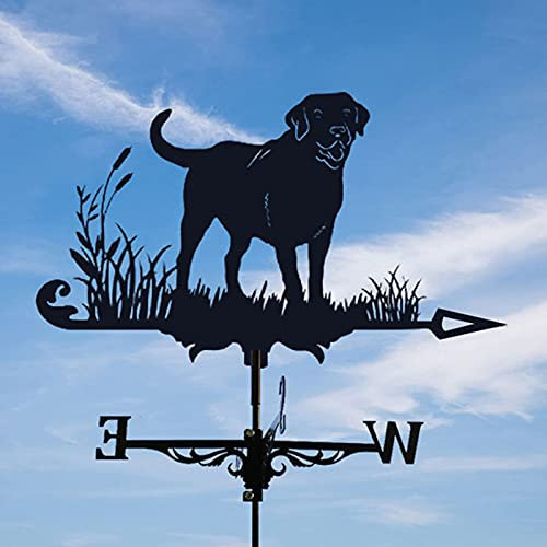 Wetterfahne, Hundewetterfahne mit Dackel im Grasmuster, Ornament, Metallwetterfahne mit Windrichtungsanzeiger, Wetterfahne mit Metallhalterung für Gartenstecker im Freien