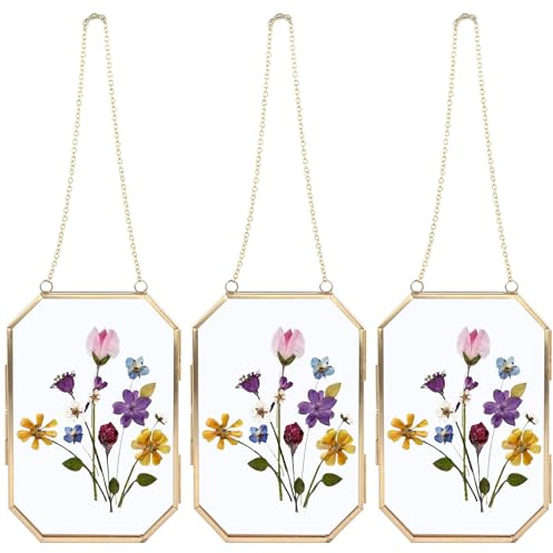 LDHHYH 3 Pack Glass Frames, 10x15cm Glass Floating Frames with Chains, Hanging Picture Frames, Pressed Flower Frames for Dried Flowers, Specimens and Home Decor, Gold