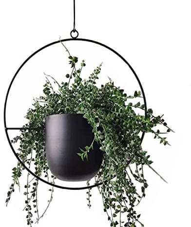 Cratone NCGL Suspension pour Plantes en Acrylique