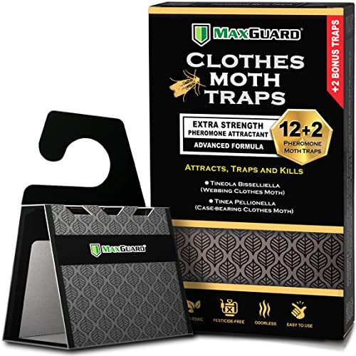 Maxguard - Trappole per tarme (12+2 trappole gratuite) feromoni extra resistenti, non tossici per armadi e tarme per tappeti, senza tarme | Lure, Trappola e uccidere le falene con cuscinetti