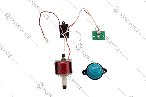 POLTI Pumpe Et M4 18W Registerkarte Drehknopf Besen Dampf Vaporetto SV330