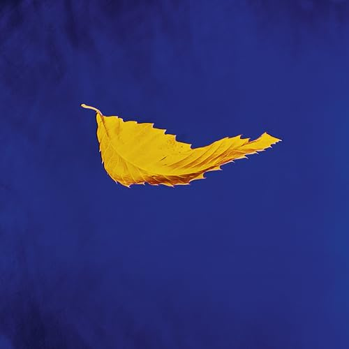 True Faith(2023 Remaster)
