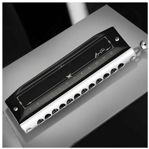 Mundharmonika Chromatische Mundharmonika Tonart C 12 Löcher 48 Töne professionelle Mundharmonika für Erwachsene Profis und Studenten(Matte Black-1248)