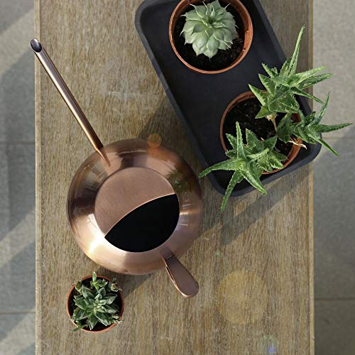 Cryfokt Regadera de Boca Larga de Acero Inoxidable para Plantas de Jardín, Riego de Flores, Ergonómico Suave, Capacidad de 1 Litro, Dorado, Adecuado para Jardín Doméstico (Bronce Antiguo)